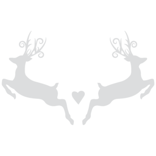 cerf2_render.png